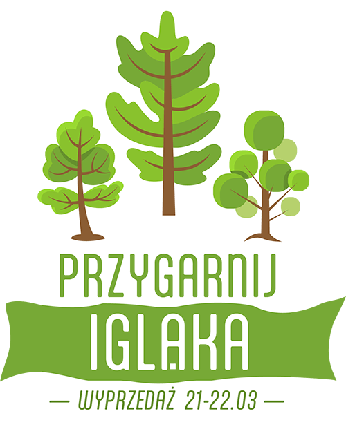 Zieleń Miejska - Wyprzedaż Iglaków